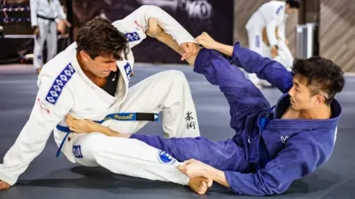 Arena BJJ Beginners